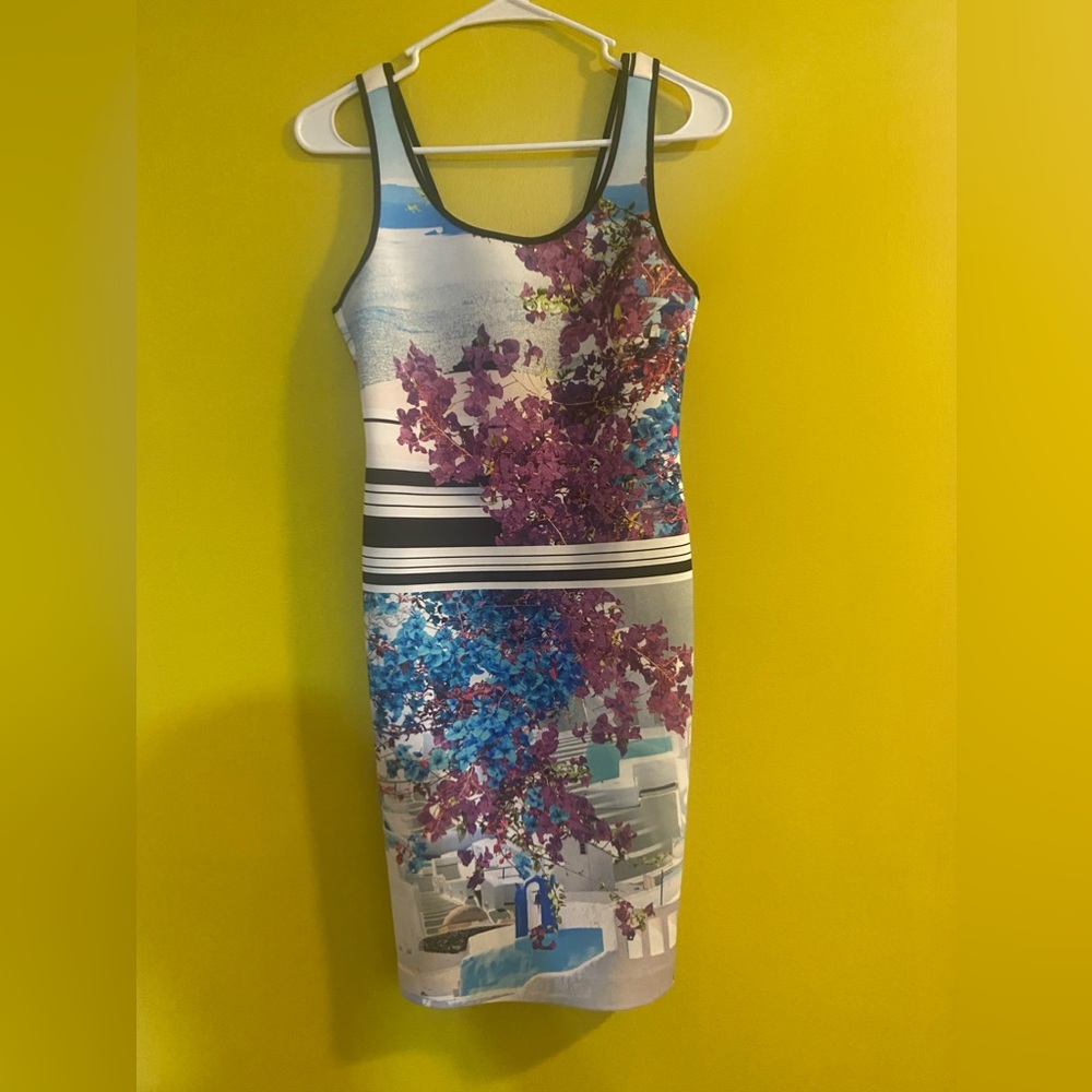 Clover canyon dress